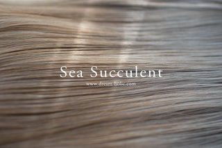Sea Succulent