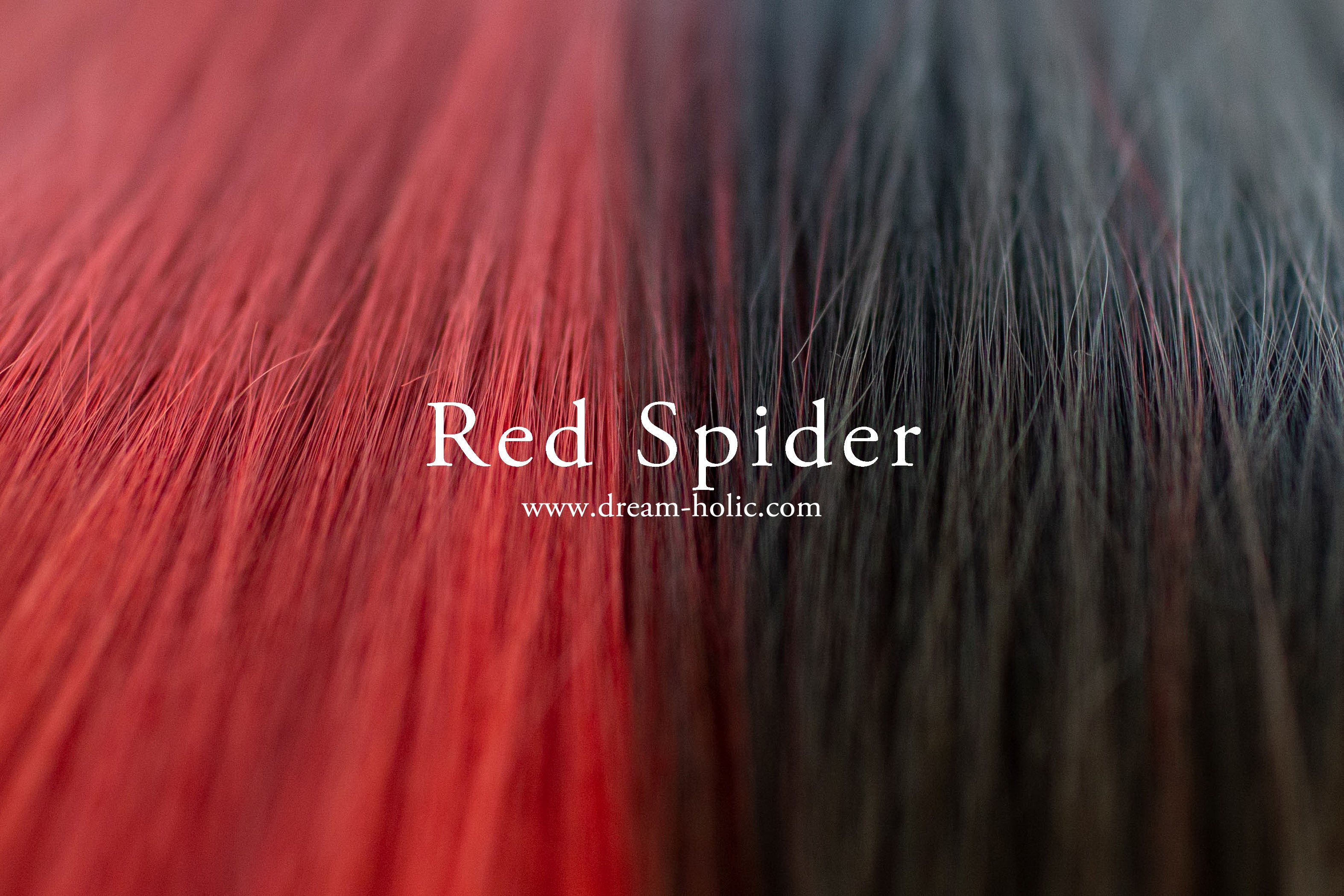 Red Spider